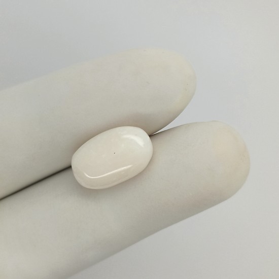 White Coral (Safed Moonga)  7.29 Ct Best Quality 